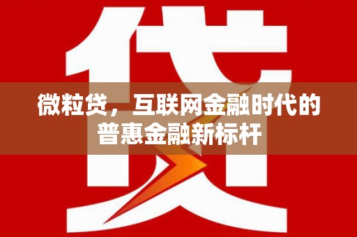 苓雅微粒贷，互联网金融时代的普惠金融新标杆