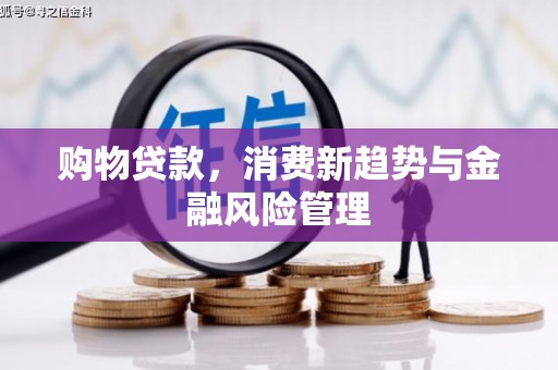 山南购物贷款，消费新趋势与金融风险管理
