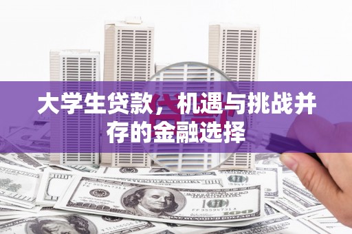 石排大学生贷款，机遇与挑战并存的金融选择