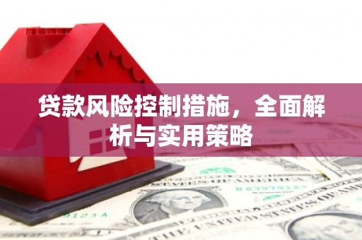 盐山贷款风险控制措施，全面解析与实用策略