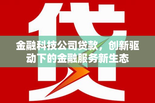 独山金融科技公司贷款，创新驱动下的金融服务新生态