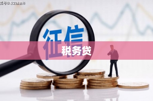 稷山税务贷