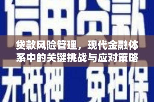顺城贷款风险管理，现代金融体系中的关键挑战与应对策略