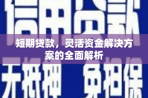 元长短期贷款，灵活资金解决方案的全面解析