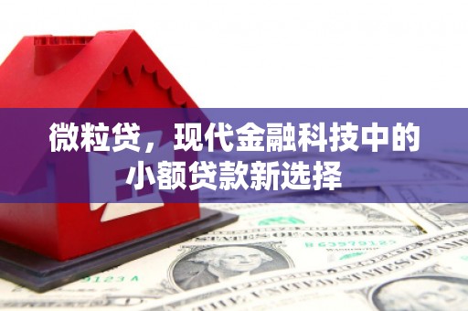 灵石微粒贷，现代金融科技中的小额贷款新选择