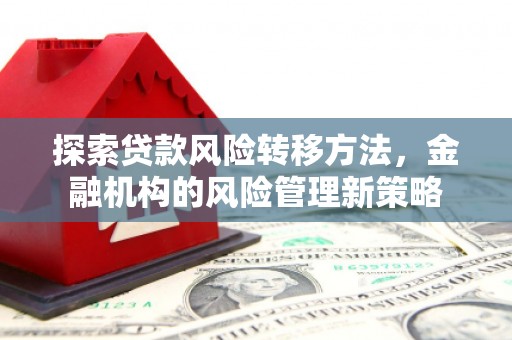 那玛夏探索贷款风险转移方法，金融机构的风险管理新策略