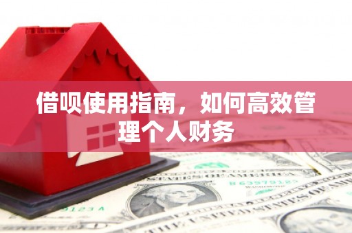 建宁借呗使用指南，如何高效管理个人财务