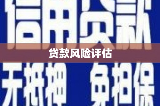 丰原贷款风险评估