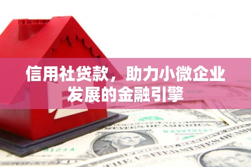 镇巴信用社贷款，助力小微企业发展的金融引擎