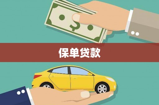 紫阳保单贷款