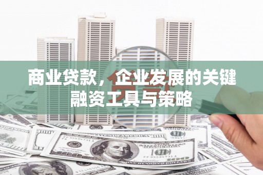 海原商业贷款，企业发展的关键融资工具与策略