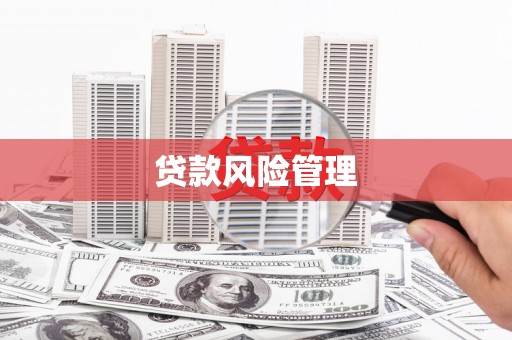 阿里贷款风险管理
