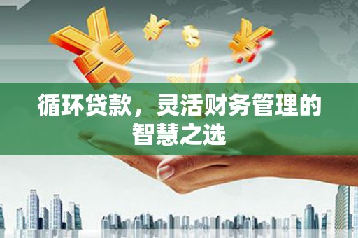 璧山循环贷款，灵活财务管理的智慧之选