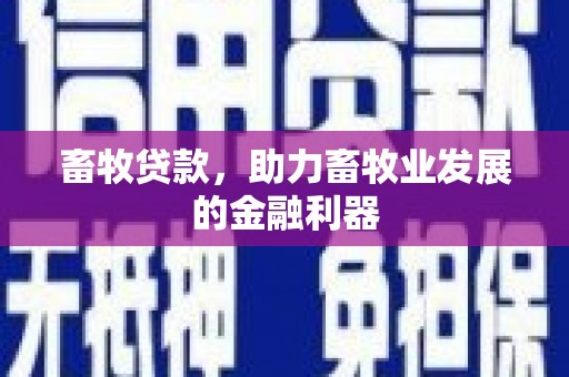 红寺堡畜牧贷款，助力畜牧业发展的金融利器