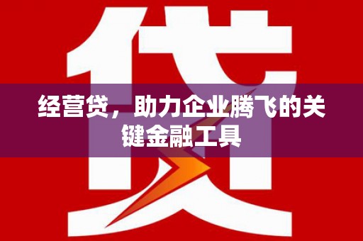天津经营贷，助力企业腾飞的关键金融工具