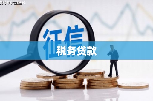 三湾税务贷款
