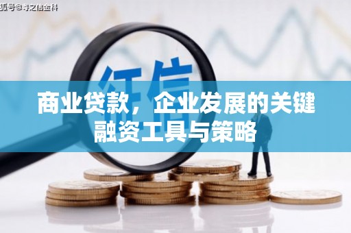 沧县商业贷款，企业发展的关键融资工具与策略