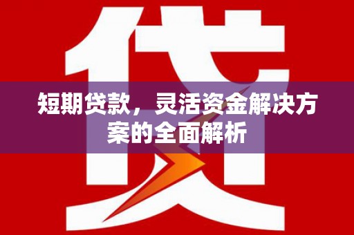 绥阳短期贷款，灵活资金解决方案的全面解析