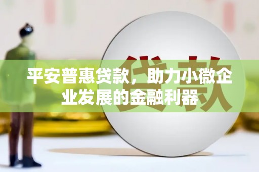 新园平安普惠贷款，助力小微企业发展的金融利器