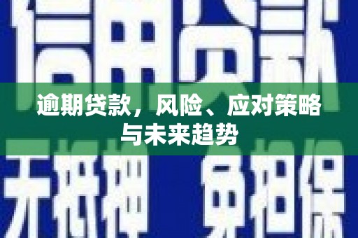 学甲逾期贷款，风险、应对策略与未来趋势