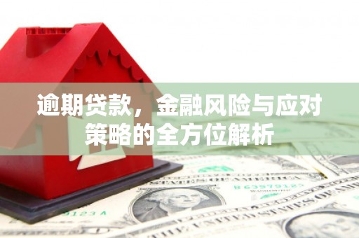 洛阳逾期贷款，金融风险与应对策略的全方位解析