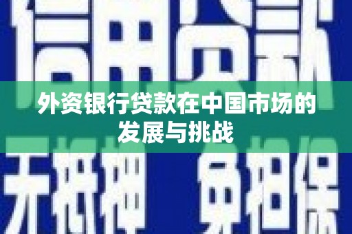 枝江外资银行贷款在中国市场的发展与挑战