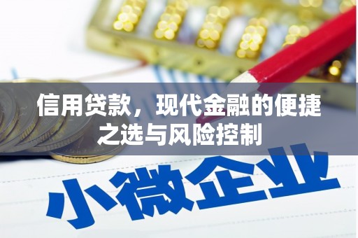 措勤信用贷款，现代金融的便捷之选与风险控制