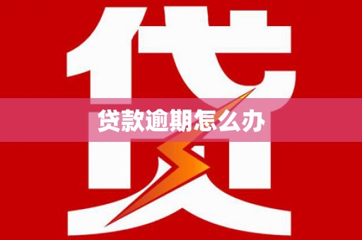 丰都贷款逾期怎么办