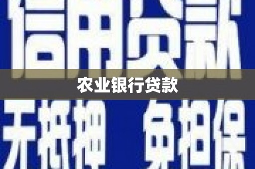 汉川农业银行贷款