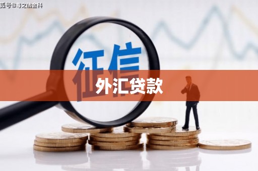 图木舒克外汇贷款