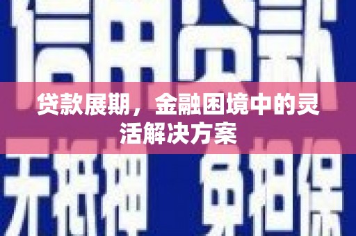 水林贷款展期，金融困境中的灵活解决方案
