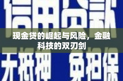茂南现金贷的崛起与风险，金融科技的双刃剑