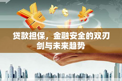 洋县贷款担保，金融安全的双刃剑与未来趋势