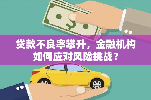 普湾新区贷款不良率攀升，金融机构如何应对风险挑战？