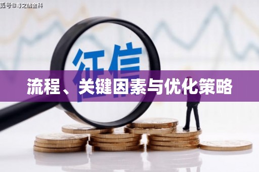 立山流程、关键因素与优化策略