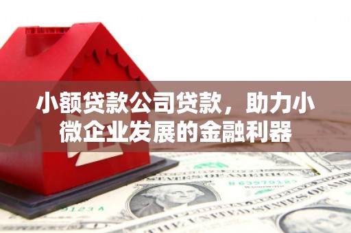 金华小额贷款公司贷款，助力小微企业发展的金融利器