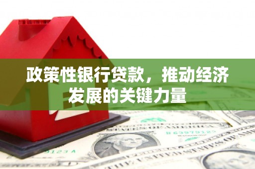 石冈政策性银行贷款，推动经济发展的关键力量