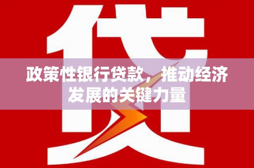 天峨政策性银行贷款，推动经济发展的关键力量