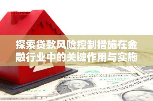 长洲探索贷款风险控制措施在金融行业中的关键作用与实施策略