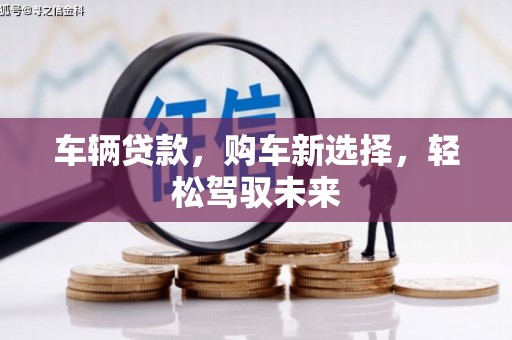 塔什库尔干塔吉克车辆贷款，购车新选择，轻松驾驭未来