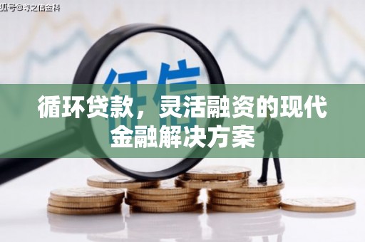 呼兰循环贷款，灵活融资的现代金融解决方案