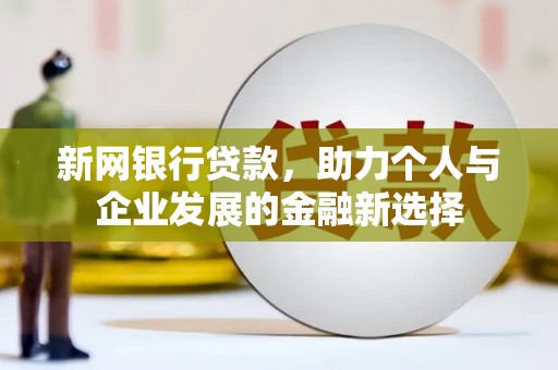 普湾新区新网银行贷款，助力个人与企业发展的金融新选择