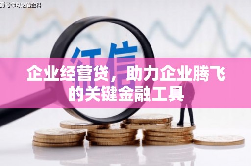 马公企业经营贷，助力企业腾飞的关键金融工具