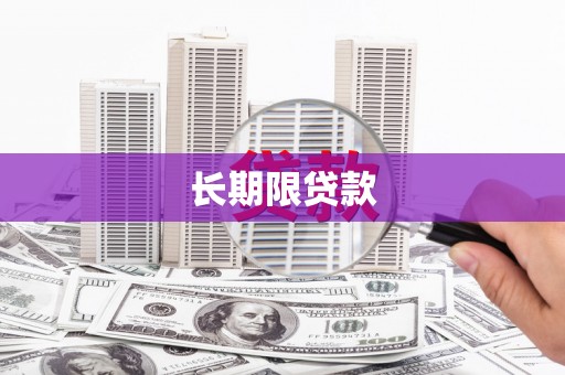 西畴长期限贷款