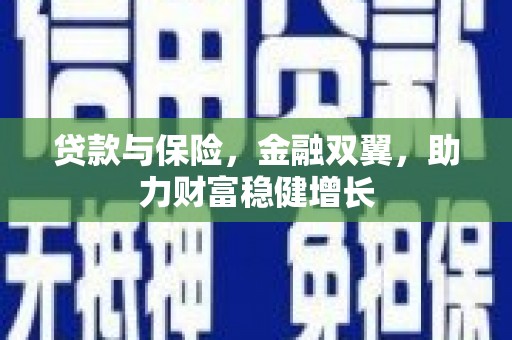 新建贷款与保险，金融双翼，助力财富稳健增长