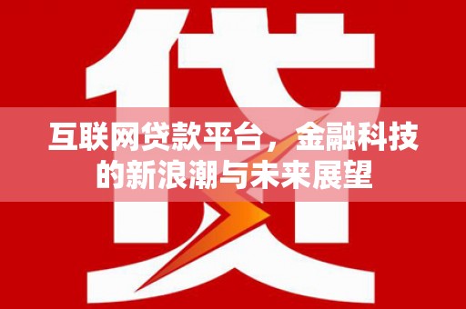 中寮互联网贷款平台，金融科技的新浪潮与未来展望
