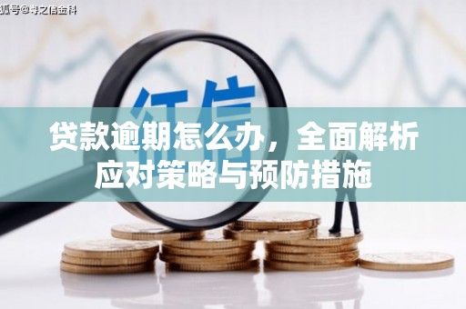 厦门贷款逾期怎么办，全面解析应对策略与预防措施