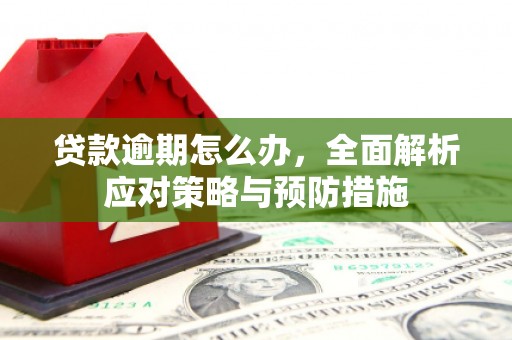 柳北贷款逾期怎么办，全面解析应对策略与预防措施