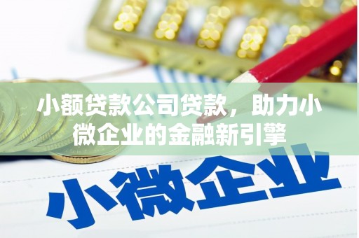 兴安小额贷款公司贷款，助力小微企业的金融新引擎