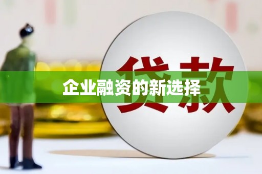 盐田企业融资的新选择